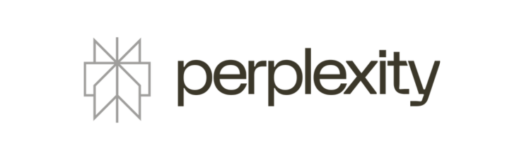 Perplexity KI Suche mit Fokus auf LLMO und GEO durch eine SEO Agentur aus Mannheim